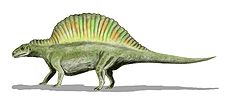 Ctenosauriscus BW.jpg