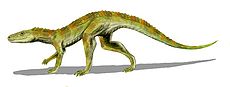 Hesperosuchus BW.jpg