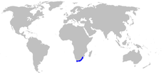 Distribución de Agapanthus.