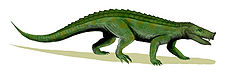 Notosuchus BW.jpg