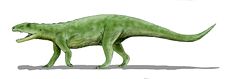 Poposaurus BW.jpg