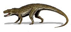 Postosuchus BW.jpg