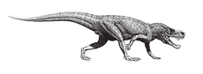 Rauisuchia Postosuchus kirkpatricki.png