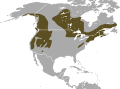 American Water Shrew area.png