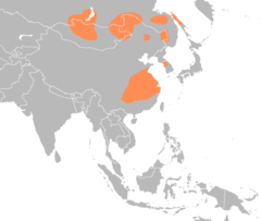 Anser cygnoides distribution map.png