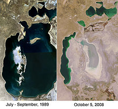 Aral Sea 1989-2008.jpg