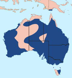Australian Magpie - distribution (2).svg