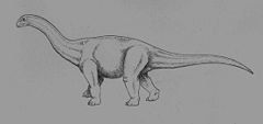 Cetiosaurus1.jpg