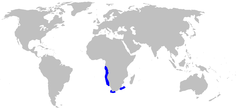 Range of the southern African frilled shark