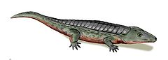 Chroniosuchus BW.jpg