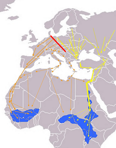 Rutas migratorias europeas/africanas. Línea roja: Límite de migraciónr Líneas naranjas: Rutas occidentales Líneas amarillas: Rutas orientales Azul: Áreas de invernada