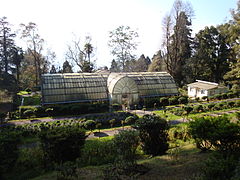 Darjeeling Botanical Garden.jpg