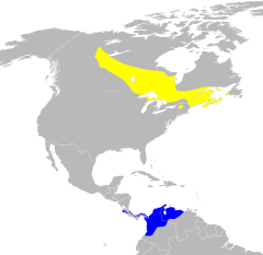Dendroica castanea map.svg