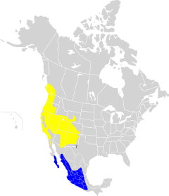 Dendroica nigrescens map.svg