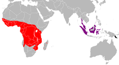 Mapa de distribución de las subespecies