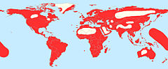 Distribution of the Charadriidae.jpg