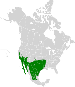 Mapa de la distribución del correcaminos norteño.