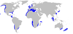 Distribución de la cañabota gris (en azul)