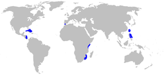 Área de distribución de H. nakamurai (en azul)