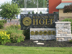 Holt, Michigan Entrance Sign.jpg