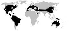 Distribución de Hylidae (en negro)