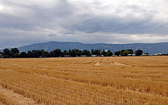 Imbler, Oregon, fields.jpg