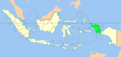 Ubicación de Papúa OccidentalPapua Barat