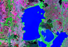 Lago Rogaguado Bolivia Satellite map 65.93196W 13.png