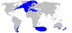 Rango del cailón (en azul)