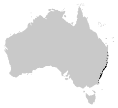 Distribution of the Jervis Bay Tree Frog.