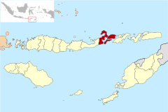Localización del kabupaten de Flores Oriental en la provincia de Nusa Tenggara Oriental