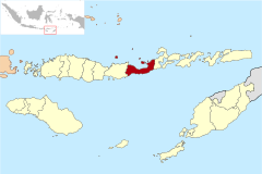 Localización del kabupaten de Sikka en la provincia de Nusa Tenggara Oriental