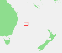 H. forsteriana endémica de la  Isla Lord Howe