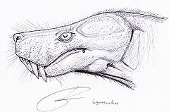 Lycosuchus1.jpg