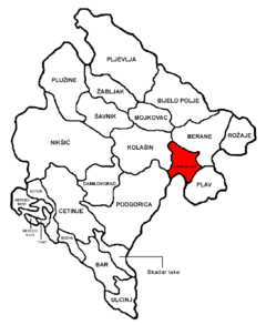 Localización del municipio en Montenegro.