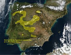 Distribución en la Península Ibérica