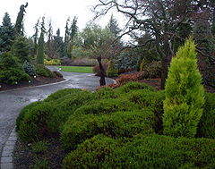 Oregon Garden conifer entrance 2007-12-23 15-04-03 0038.jpeg