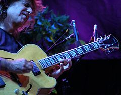 Pat Metheny and his guitar.jpg
