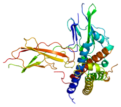 Protein GH2 PDB 1a22.png