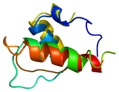Protein TMPO PDB 1gjj.png