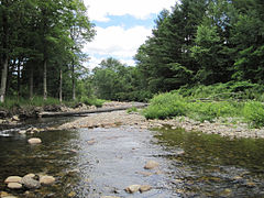 Saxtons River in Vermont.jpg