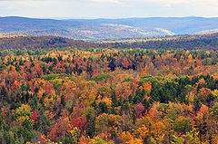 Vermont fall foliage hogback mountain.JPG