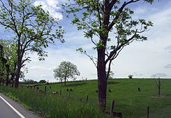 1643 - Bethel Twp - View from PA643 near US522.JPG