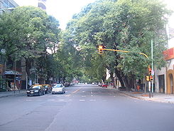 Avenida Pedro Goyena.jpg