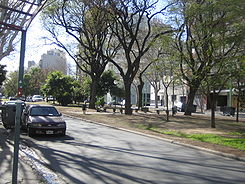 Avenida San Isidro 08 2008.jpg