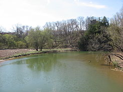 Raccoon Creek near mouth.jpg