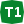 T1