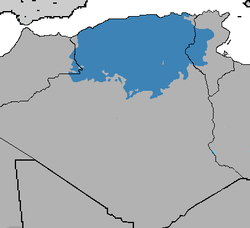 Árabe argelino.png