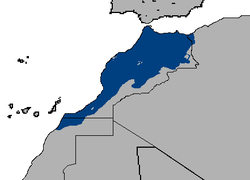 Árabe marroquí.png
