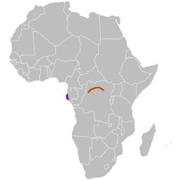 Rojo = zona de cría en la República Democrática del CongoMorado = presente todo el año en Gabón